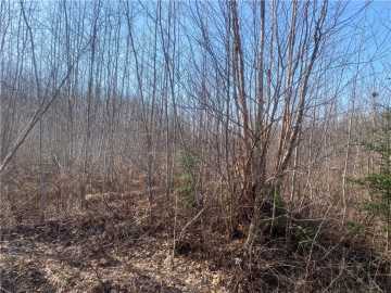Park Falls Land Real Estate