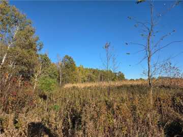 Rice Lake Land Real Estate
