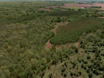 Rice Lake Land Real Estate