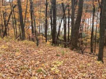Birchwood Land Real Estate