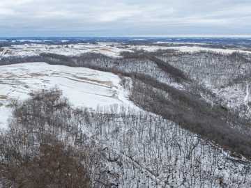 Alma Land Real Estate