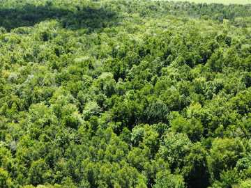 Wausau Land Real Estate