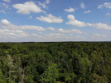 Augusta Land Real Estate