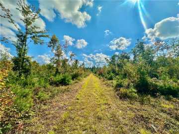 Neillsville Land Real Estate