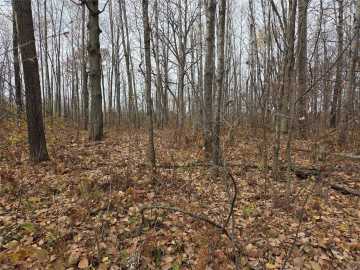 Rice Lake Land Real Estate