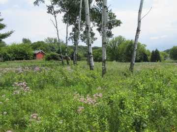 Menomonie Land Real Estate
