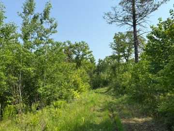 Dairyland Land Real Estate