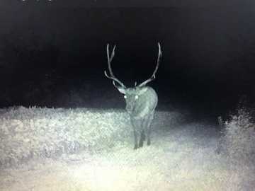 Black River Falls Land Real Estate