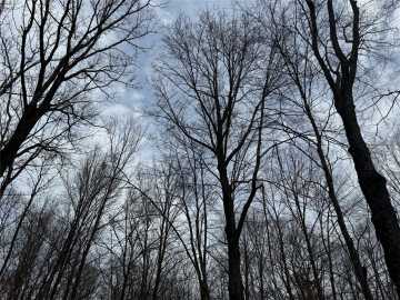 Granton Land Real Estate