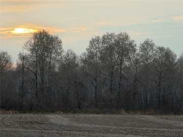 Holcombe Land Real Estate