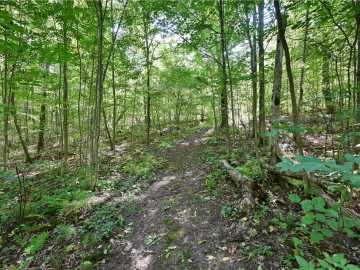 Rice Lake Land Real Estate