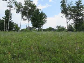 Menomonie Land Real Estate