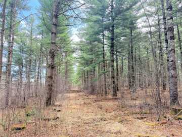 Rice Lake Land Real Estate
