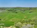 Eleva Land Real Estate