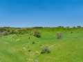 Eleva Land Real Estate