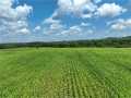 Fall Creek Land Real Estate