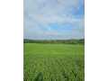 Fall Creek Land Real Estate
