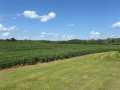 Fall Creek Land Real Estate