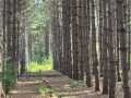 Fall Creek Land Real Estate