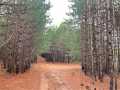 Grantsburg Land Real Estate