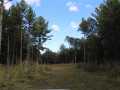 Grantsburg Land Real Estate
