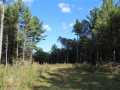 Grantsburg Land Real Estate