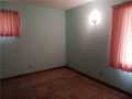 Nelson Residential Real Estate