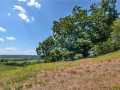 Property Photo 56