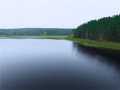 Gordon Residential Real Estate