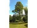Sheldon Residential Real Estate