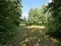 Hayward Residential Real Estate
