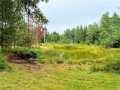 Property Photo 50