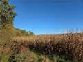 Rice Lake Land Real Estate
