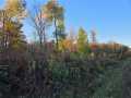 Rice Lake Land Real Estate