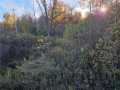 Rice Lake Land Real Estate