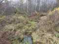 Rice Lake Land Real Estate