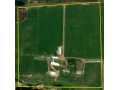 Webster Land Real Estate