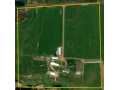 Webster Land Real Estate