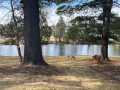 Chippewa Falls Residential Real Estate
