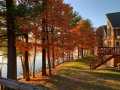 Cameron Residential Real Estate
