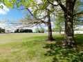 Rice Lake Residential Real Estate