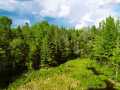 Ladysmith Residential Real Estate