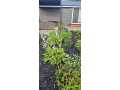 Black River Falls Residential Real Estate