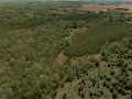 Rice Lake Land Real Estate