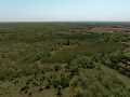 Rice Lake Land Real Estate