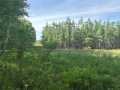 Rice Lake Land Real Estate