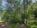 Rice Lake Land Real Estate