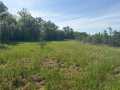 Rice Lake Land Real Estate