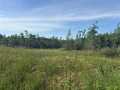 Rice Lake Land Real Estate