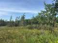 Rice Lake Land Real Estate
